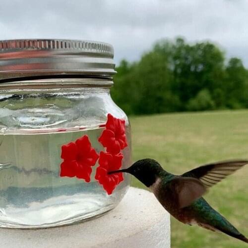Hummingbird Feeder Hanging Plastic Bird Water Feeder Red Flower Straws For Pet Birds Garden Wild Bird Feeder Bird Supplies