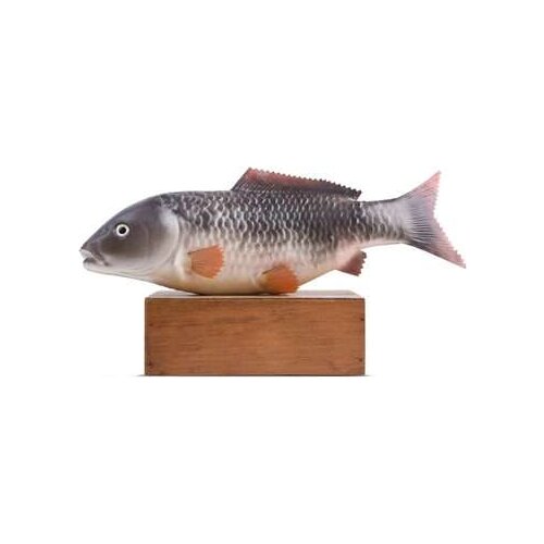 Simulated Fish Meat Gray Carp Fake Kitchen Props Nongjiale Hotel Unisex Finished Goods Food 2021
