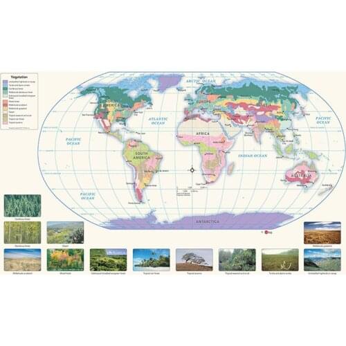 150x225cm The World Non-woven Spray Painting Map With Vegetation Species Distribution Map For Education