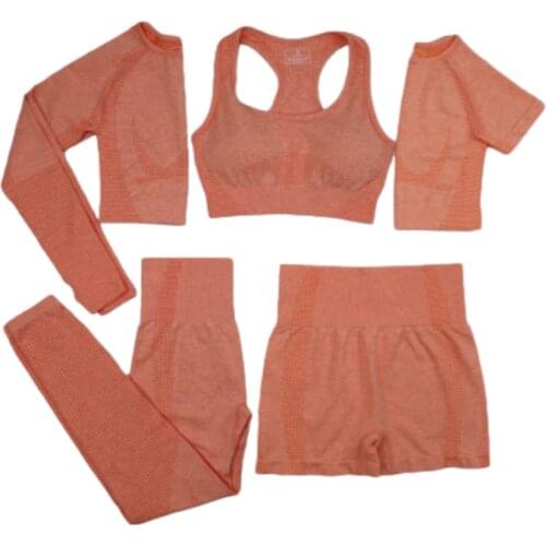 New 5 PCS Women Seamless yoga set Fitness Sports Suits GYM Clothing Yoga T-Shirts+High Waist leggings+Bra+shorts Workout sets