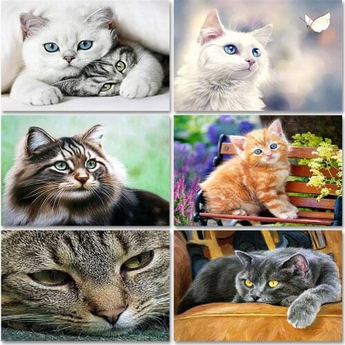 ZOOYA 5D DIY Diamond Painting Lovely Cat Diamond Embroidery Cute Animal Diamond Painting Cross Stitch Rhinestone Mosaic BJ1573