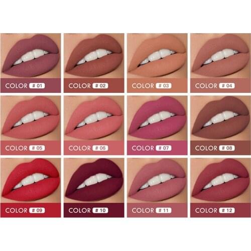 12 Colors Lips Makeup Lipstick Lip Gloss Long Lasting Moisture Cosmetic Lipstick Red Lip Matte Lipstick Waterproof