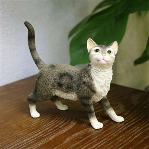 JJM American Wirehair Cat Pet Figure Kitten Animal Collector Toy Decoration Gift Crafts Souvenirs Gift Decor Vehicle Simulation