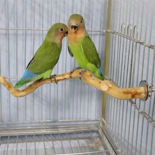 New Pet Parrot Bird Standing Stick Wood Fork Perch Hanging Swing Pet Bird Perch For Parrot Cage Toy Bird Cage Accessories
