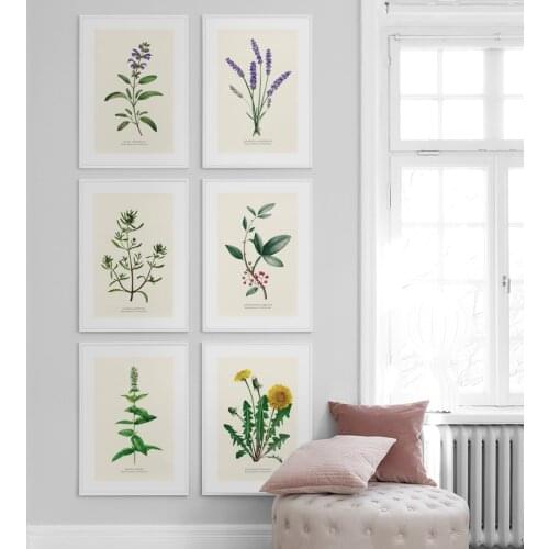 Dandelion Lavender Rosemary Pepper Flower Leaf Wall Art Print Paper Canvas Painting Nordic Posters Decor Picture For Living Room