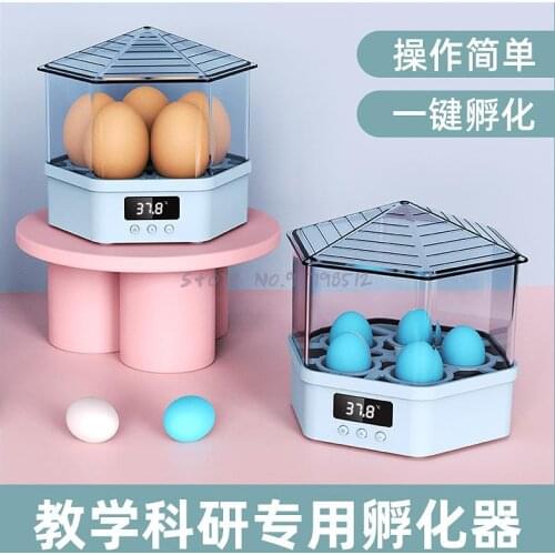 Incubator Mini Chicken Incubator Small Domestic Cole Duck Incubator Water Bed Intelligent Automatic Incubator