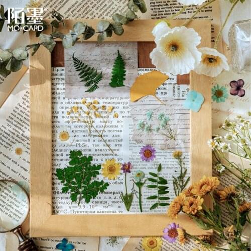 Mo.Card vintage retro Dry flower Institute memo pad diy message note paper notepad pack Wholesale