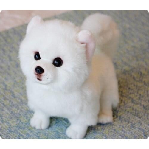 Cute plush Pomeranian dog toy high quality real life white dog about 28cm