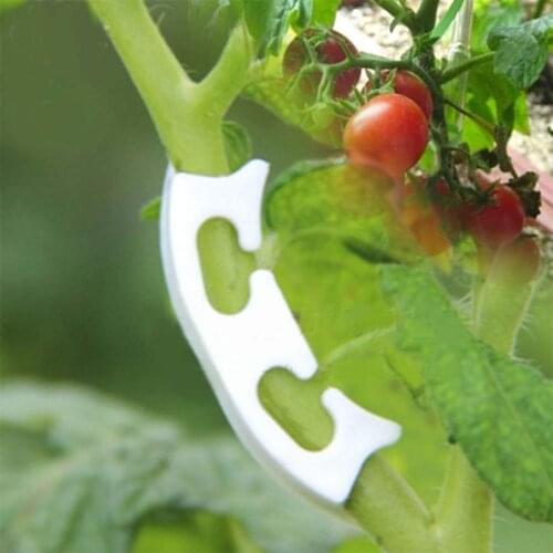 50Pcs Plant Vine Seedlings Grafted Retaining Clips Garden Flower Tomato Clips Fruit Branches Transplanting Support Tool