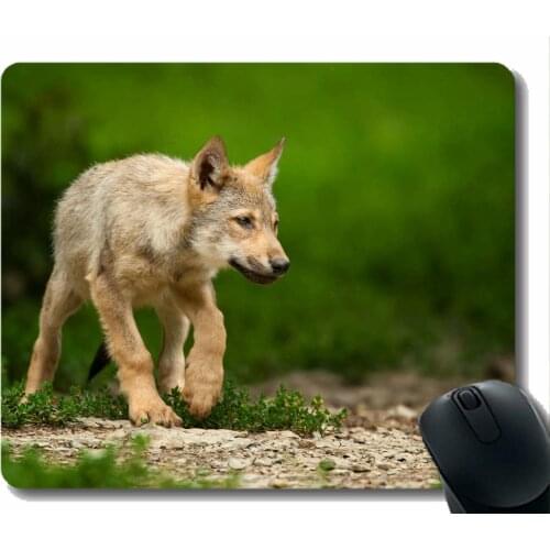 Mouse Pad Non-Skid Natural Rubber Rectangle Mouse Pads,Animal wolf action Rubber Large Mouse pad Mat