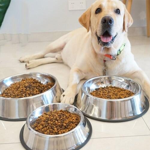 Dog Feeding Bowl Puppy Water Cat Feeder Stainless Steel Non-slip Bowls Large Dog Supplies Cat Food Container Puppy Accessories
