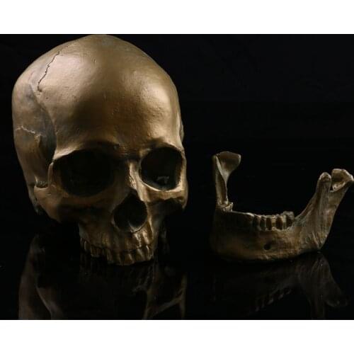 Medical skull model simulation resin skull Halloween skeleton head decoration antique copper skull model
