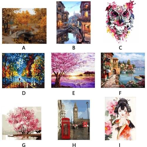 DIY Digital Oil Painting Kit Frameless Paint by Numbers Canvas for Adults Kids Beginner Home Room Office Decor 40x50cm