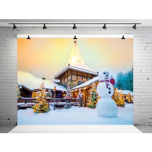 VinylBDS Christmas Backdrops Photography Winter Forzen House Photographic Background Cotton Washable Children Photo Backdrop