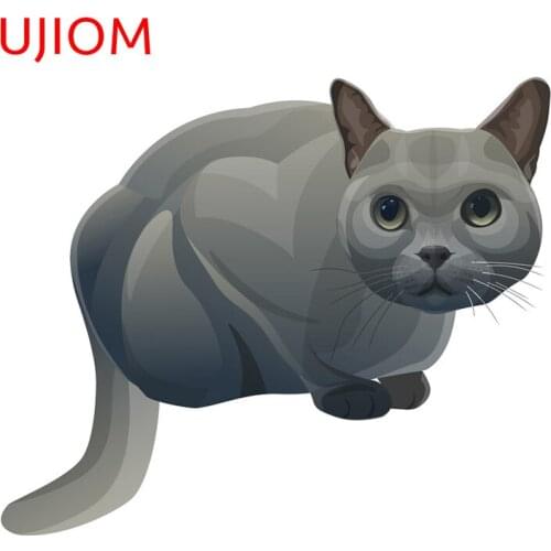 UJIOM Cat Home Decoration Bedroom Living Room Decorations Personalise Wall Stickers Home Office Room Decor Poster Mural Art