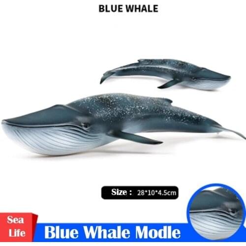 Sea Life Big Blue Whale Simulation Animals Collection Model Plastic Hand Model Series Christmas Toys Gift For Children Kids
