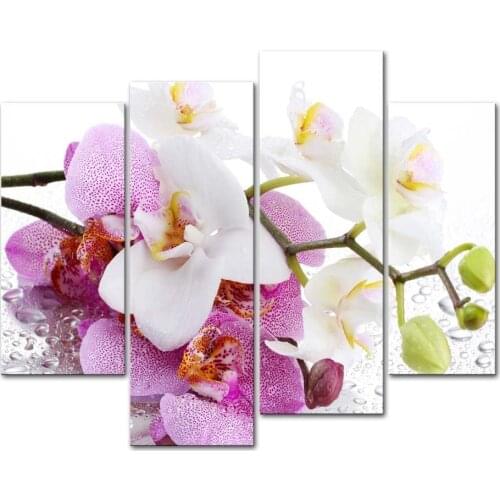 4 Pieces Butterfly orchid Wall Art Pictures for living room canvas print painting Wall Pictures For bedroom Kitchen Dinning Room