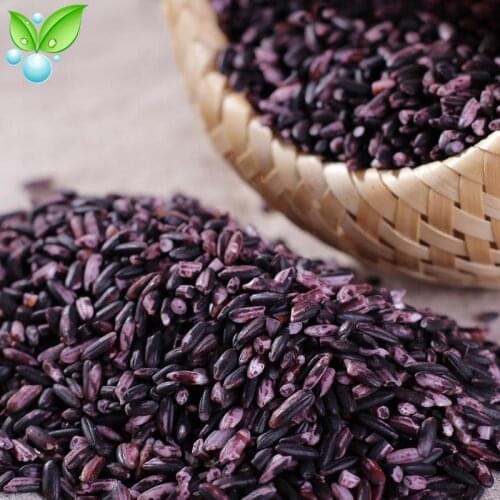 Purple Sticky Rice Zmi Purple Rice Fan Purple Rice Pure Natural 250g Purple Glutinous Rice Anti-Aging Blood Glutinous Rice