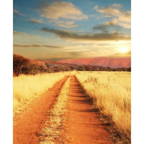 Life Magic Box backgrounds for photography studio Wheat field photography photo backdrop S-1854