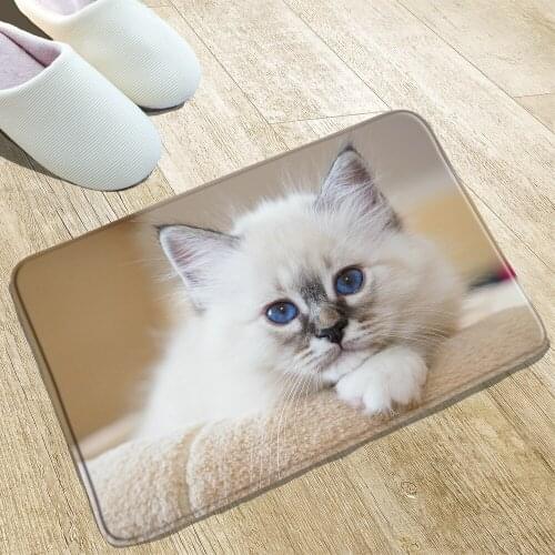 Cute animal Bathroom Mat Colourful Cats Kitchen Entrance Welcome Carpet Water Absorption And Non-Slip Flannel Rugs Washable