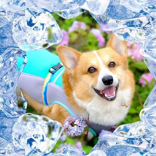 FATHIN Summer Dog Cooling Clothes Anti-heatstroke Heat Dissipation Sunscreen French Bulldog Corgi Vest Pet Cool Clothing