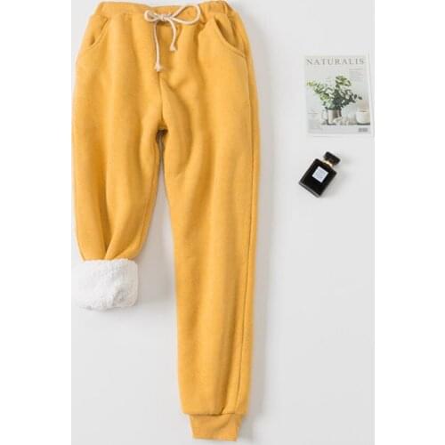 Women Pants Solid Elastic Waist Thick Harem Pants 2021 Winter Korean version New Lambskin Cashmere Warm Pants Women trousers