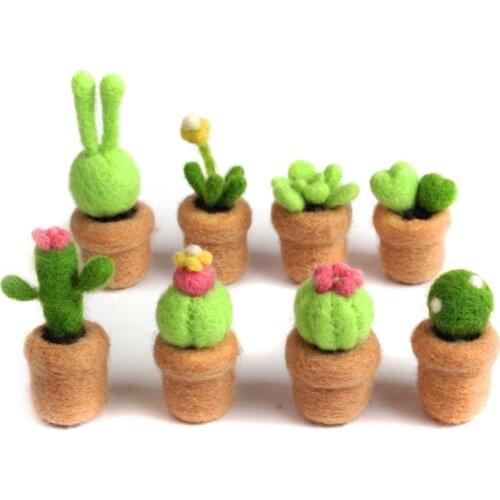 Succulent Needle Felting Kits, Wool for Felting with 3 Felting Needles, Enough Wool, English Manual Suitable for Beginners