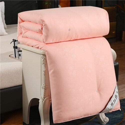 Summer Air-Conditioning Quilt Children Adult Single Double Soft Care Comfortable Quilt Core Silk Quilt Spring and Autumn Quilt