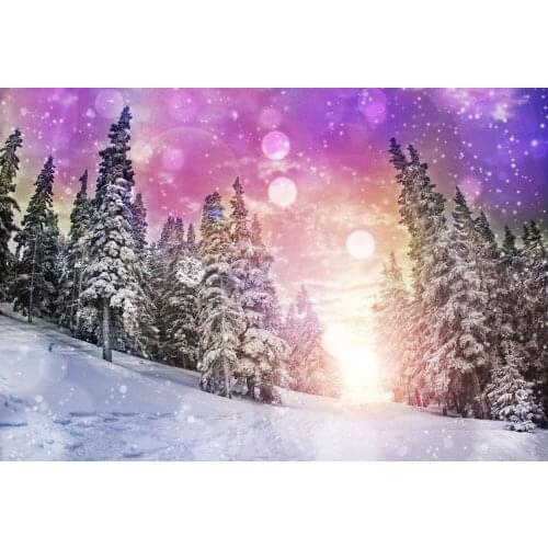 VinylBDS Backdrops 200X300Cm Snow Fantasy Sky Foto Background Snow Mountain Scenic Background Backdrop