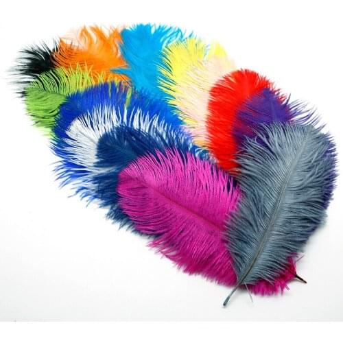 10Pcs/lot Beautiful fashion ostrich feathers 15-20CM 6-8 inch for DIY Jewelry Craft Making Wedding Party Decoration Accessories