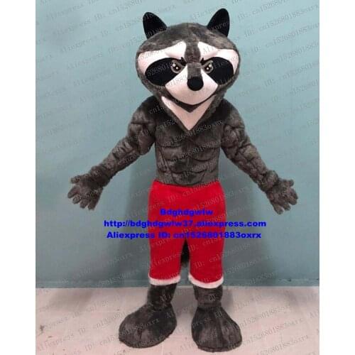 Grey Long Fur Raccoon Racoon Procyon Lotor Mascot Costume Adult Cartoon Character Head Very Big Halloween All Hallows zx2116