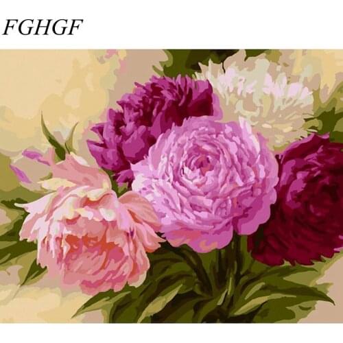 FGHGF Flower Framed Picture DIY Painting By Numbers Painting Calligraphy Home Decoration For Living Room 40cm*50cm