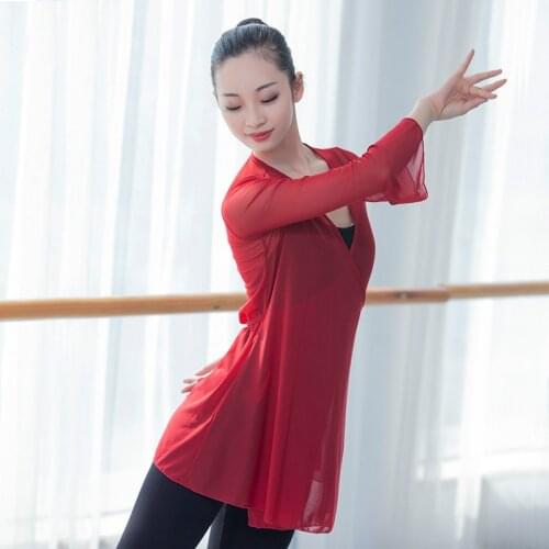 Classical Dance Clothing Adult Womens Gown Ballet Exercise Clothing Top Ethnic Dance Elastic Net Dress