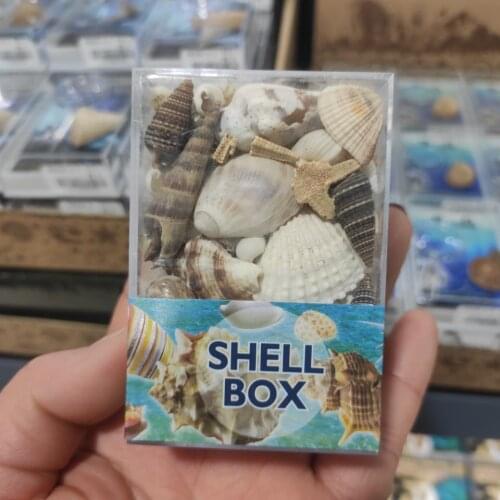 1 box Gram Mix Natural Sea Shells Conch Coquillage Beach Decor Craft Diy Marine Style Fish Tank Seashells Conch Embellishment