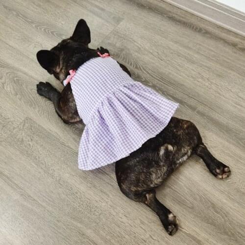 French Bulldog Clothes Summer Pet Dog Dress Skirt Poodle Schnauzer Bichon Pug Dog Clothing Dresses Dropshipping Pet Costumes New