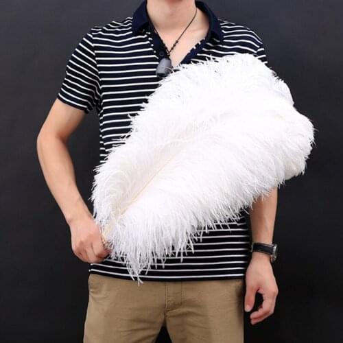 15-70CM 6-28inch All Size 10Pcs White Ostrich Feathers for Crafts Wedding Accessories Decoration Ostrich Feather Decor Plumes