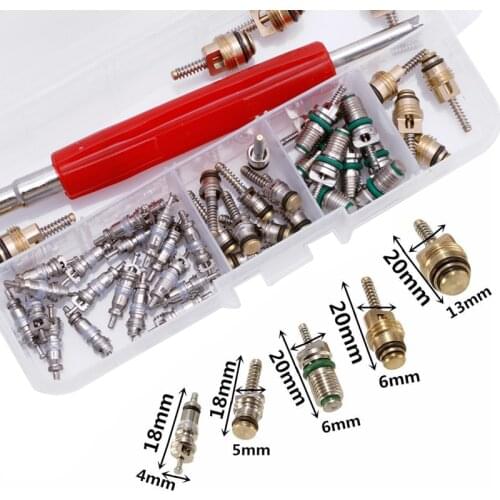 50Pcs A/C Core Valve R12/ R134A Air Conditioning Auto Car Assortment Remover Kit W91F
