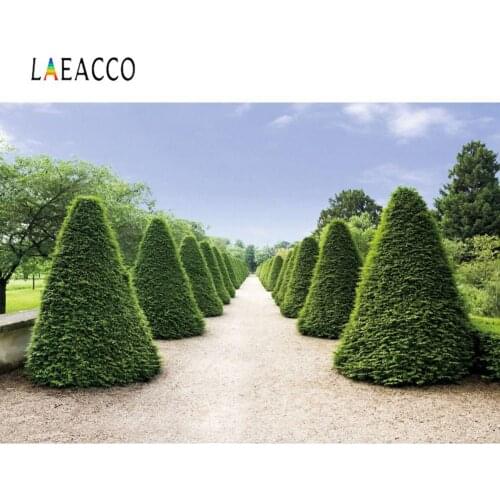 Laeacco Green Cone Of Trees Shrub Park Pathway Blue Sky Natural Scenic Photo Background Photographic Backdrop For Photo Studio