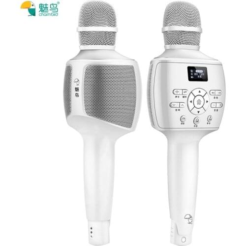 Audio bluetooth microphone mobile phone outdoor live broadcast recording video national karaoke microphone equipment completeset