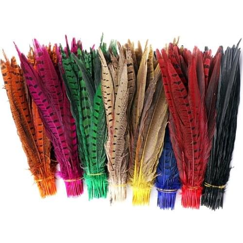 10Pcs Natural DIY Pheasant Feathers Crafts Colored Feathers Plume Jewelry Making Wedding Party Home Decor Accessories 25-30cm