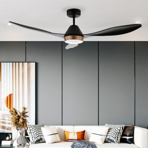 Bowod 52 Inch Modern Decorative ceiling fan with LED Lights remote control ceiling fan ABS blades 110v/220v ceiling fan