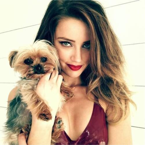 New 5D DIY Full Round Diamond Painting Movie Star "Amber Heard" 3D Embroidery Cross Stitch Rhinestone Mosaic Home Decor Art Y470