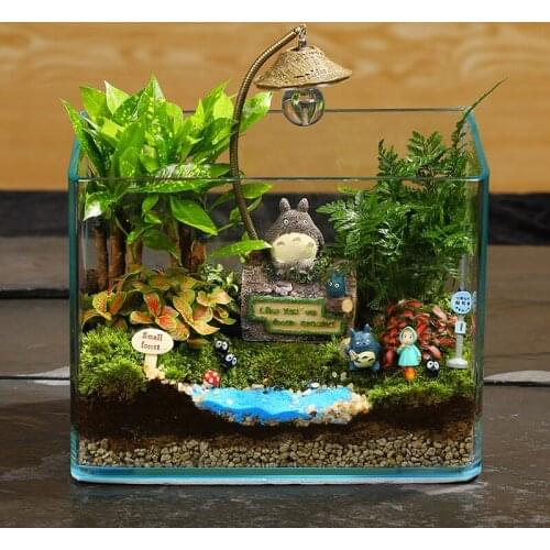 Alleviate the mood of landscape ecological bottle furnishing articles sitting room adornment mini garden desk decoration