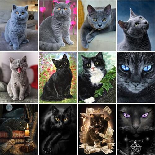 5D DIY Diamond Painting Black Cat Full Square/Round Resin Diamond Embroidery Animal Mosaic Picture of Rhinestone Home Decoration
