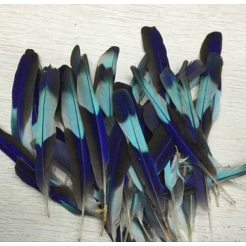 Wholesale 10 PCS Natural Kingfisher Feather 3-4"/8-10 CM DIY feather Jewelry Accessories Plumes