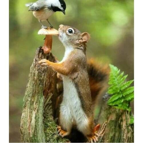 Brand new AB diamond painting 5D DIY cute little squirrel full diamond cross stitch mosaic home decoration