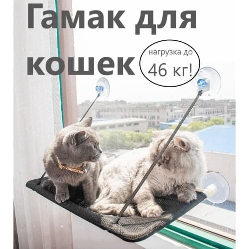 KD Cat Pillows