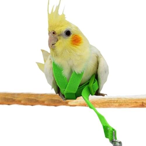 Pet Bird Parrot Harness and Leash Bird Rope Anti-bite Flying Training Supplies Pet Leash Kits Ultralight Harness Leash Soft #AF