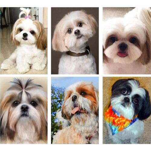 5D Diamond Painting Dog Shih Tzu Diamond Embroidery Animal Dog Cross Stitch Kit Mosaic Home Decoration Art Gift Christmas