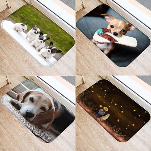 Anti-Slip Flannel Carpet Door Mat Cute Pug Dog Pattern Doormat Outdoor Kitchen Living Room Floor Rug 1pc 40*60cm